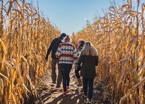 Best Corn Mazes in Door County