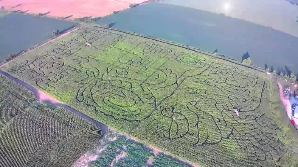 Best Corn Mazes in Door County