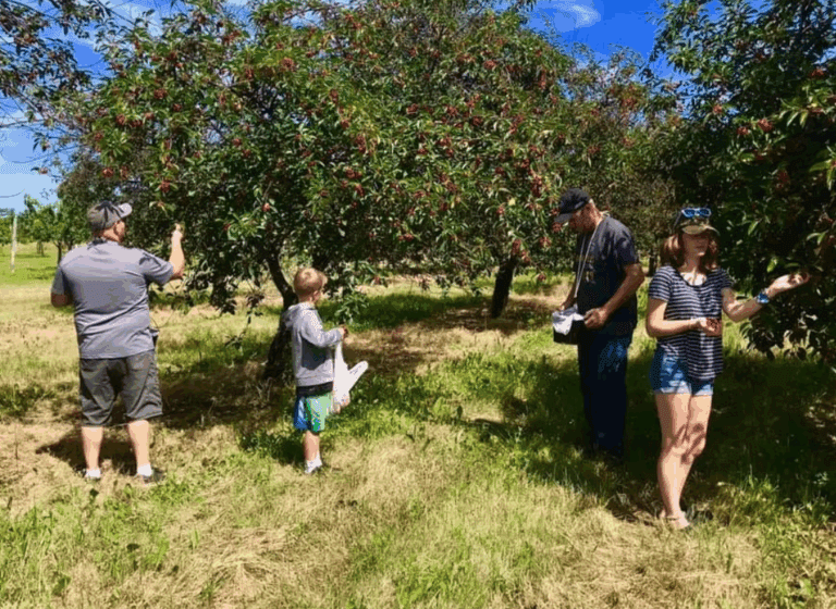 Top Places to Pick Your Own Apples in Door County