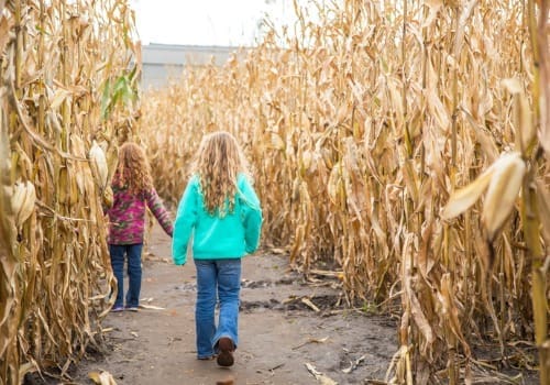 Best Corn Mazes in Door County
