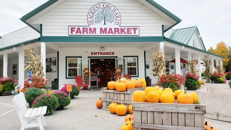 Top Places to Pick Your Own Apples in Door County