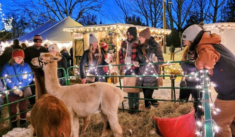 Door County 2025 Holiday Events 4 Door County 2025 Holiday Events